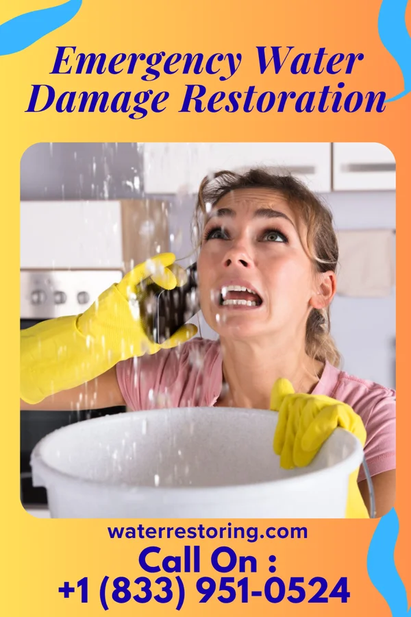 Emergency Water Damage Restoration in Ann Arbor, MI