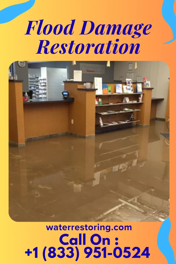 Flood Damage Restoration in Ann Arbor, MI