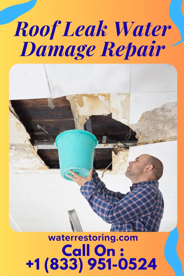 Roof Leak Water Damage Repair in Ann Arbor, MI