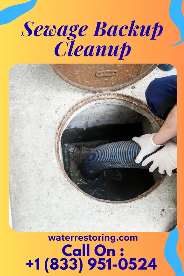 Sewage Backup Cleanup in Ann Arbor, MI