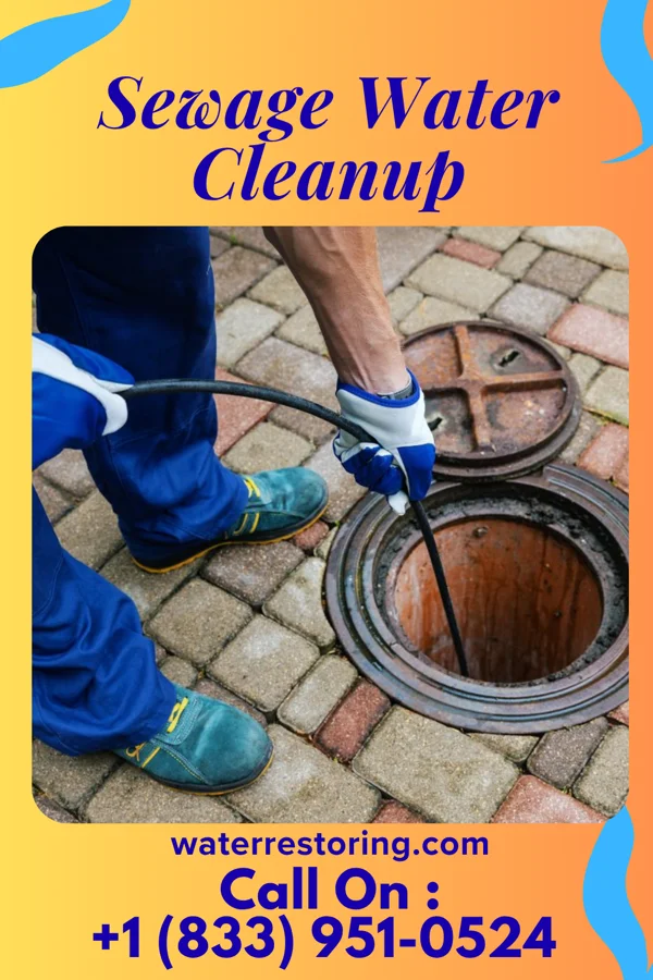 Sewage Water Cleanup in Ann Arbor, MI