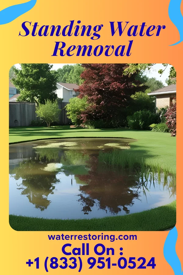 Standing Water Removal in Ann Arbor, MI